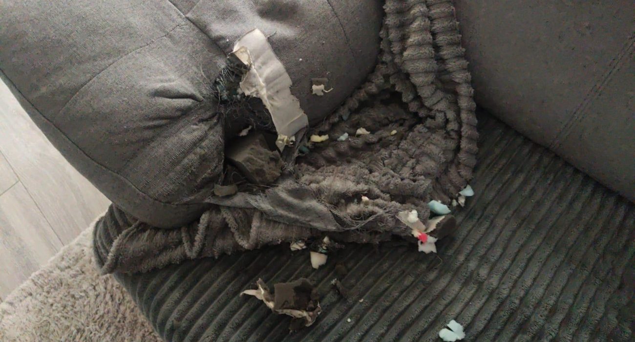 sofa destrozado